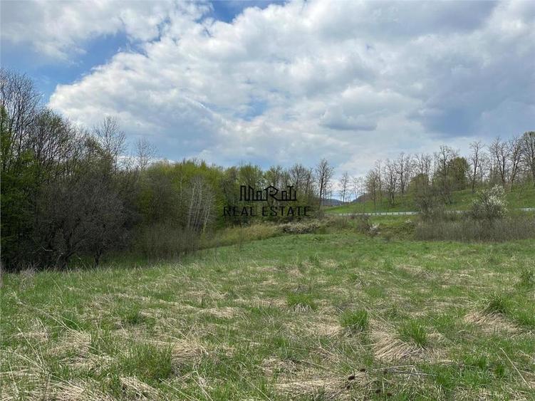 Terenuri extravilane in Luncoiu de Sus, Hunedoara - 7