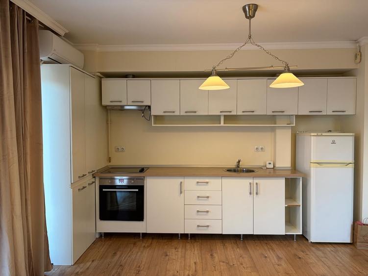 Inchiriere Apartament 2 Camere Iancu Nicolae - 10