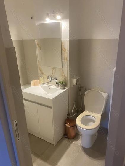 Spa?iu comercial Central - Capitol - Asirom - Intrare din str. Mircea cel Batran - 3