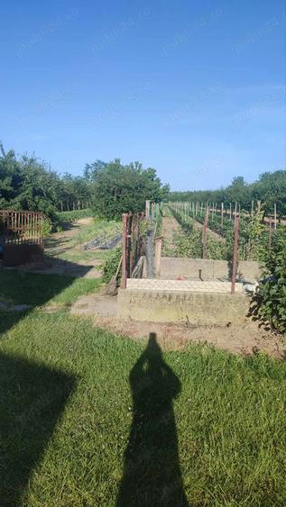 Casa de vanzare in Ungaria aproape de granita - 4