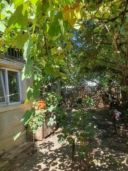 Casa + teren de vanzare -505mp- Comuna Barcanesti, sat Tatarani, PRINCIPALA - 5