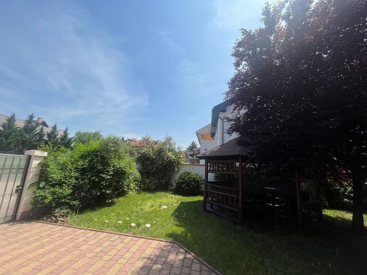 Super casă ,prima chirie Iancu Nicolae - 8