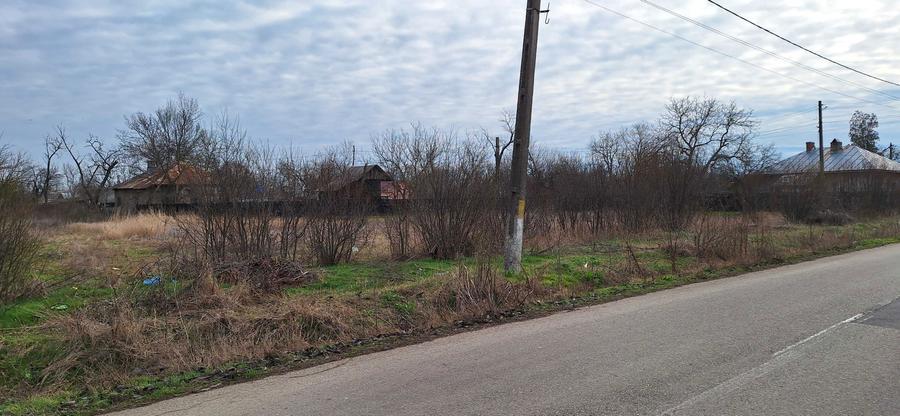 Teren 2.433mp intravilan sat.Sericu/Blejesti/TR (si in RATE) - 5