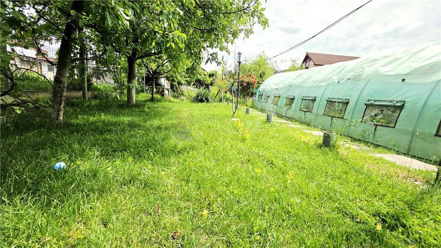 CASA 5 CAMERE 145 MP TEREN 660 MP DAMBUL ROTUND - 27