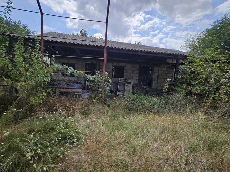 Gospodarie cu 2 case Comuna Trivale Mosteni, sat , la 30 km de Alexandria, jude?ul Teleorman 20 000 - 3