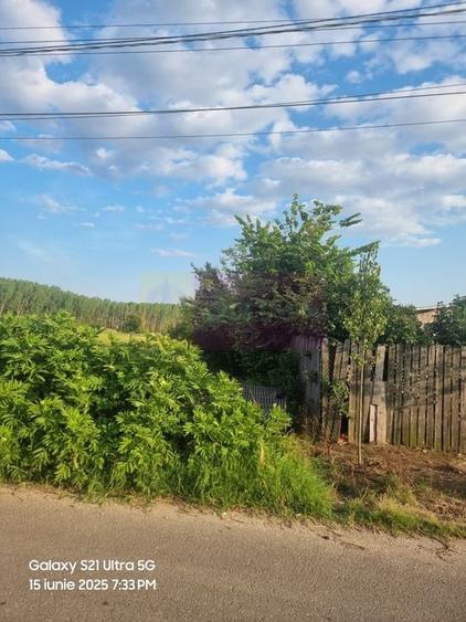 Se vinde teren 2150 mp in Teisori Giurgiu - 6