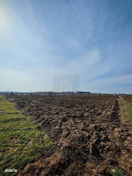 Teren de Vanzare Industrial Caciulati A3 - 4