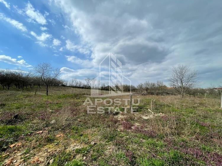 Teren intravilan pentru investitie, 2896 mp, Herneacova Timis - 5