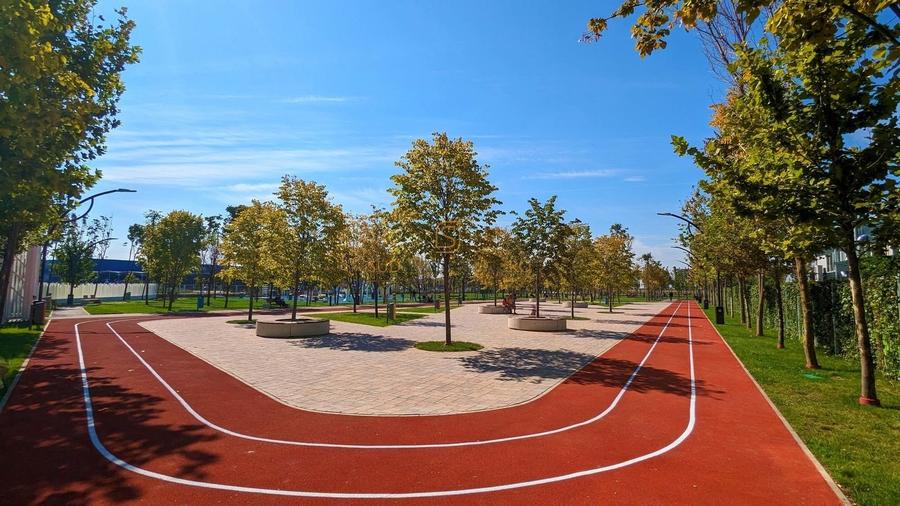 Teren generos 3990 mp, oportunitate ridicata, acces metrou Berceni -S4 - 28