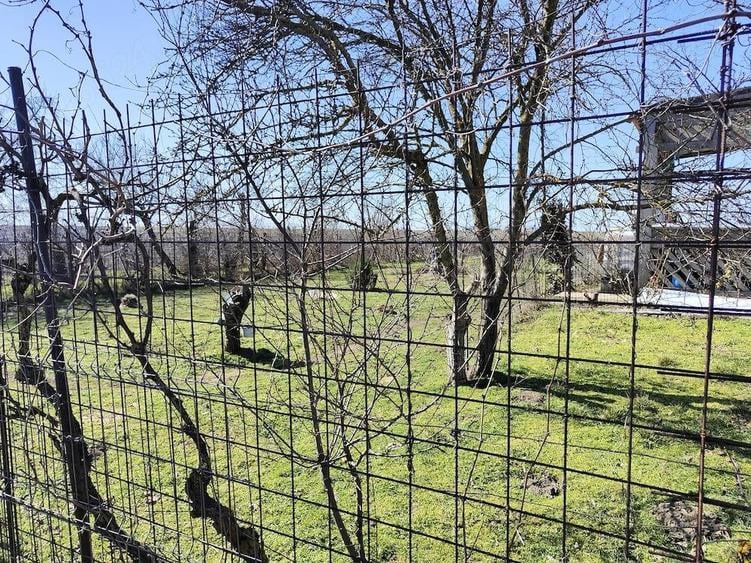 Vand casa cu teren intravilan (total 6308 m ) - 2