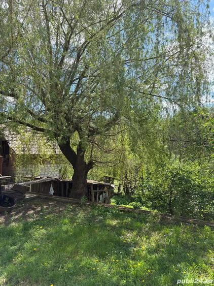 Casa D+P, Berislavesti, 78000 E - 4