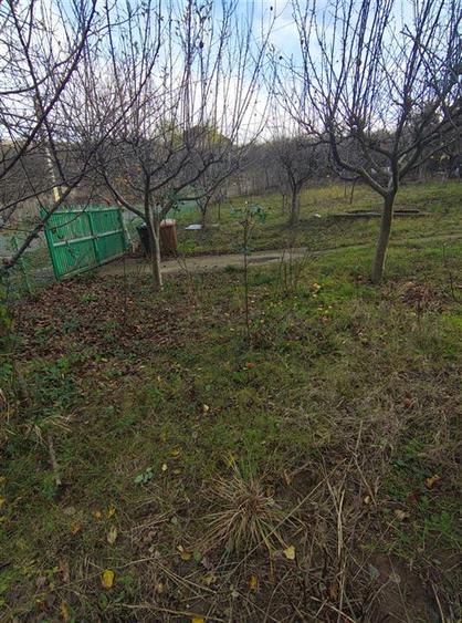 Teren intravilan Bucium 750mp - Trecatoarea Paun - 9