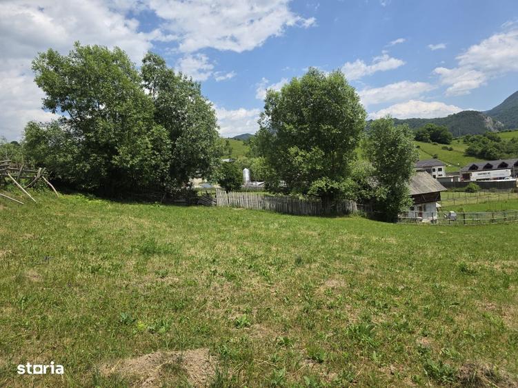 Teren intravilan parcelabil 1000 mp - Rucar, Arges - 3