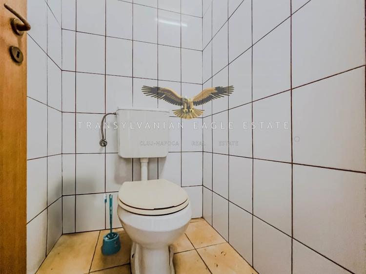 Oportunitate de inchiriere a unui spatiu industrial si de productie - 13