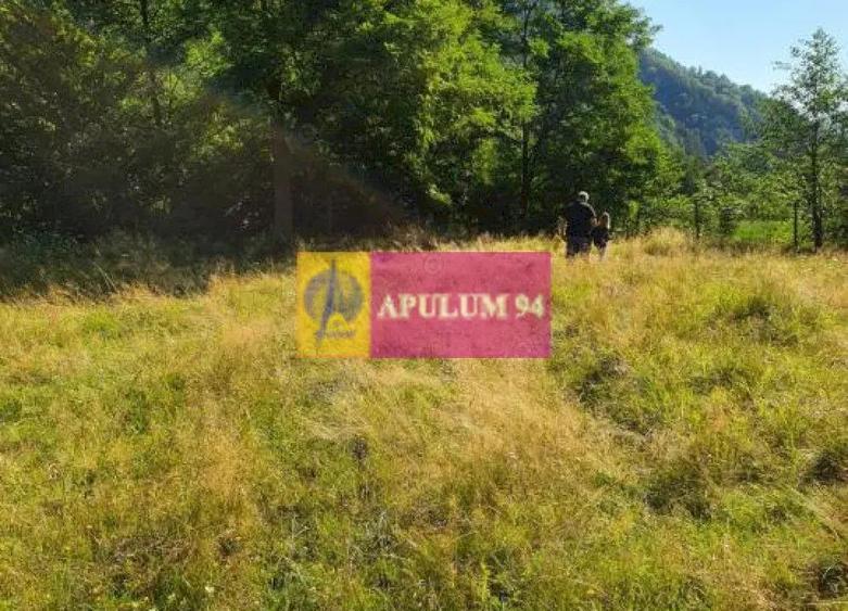 Teren Jude?ul Valcea - Brezoi, Valea lui Stan - 5