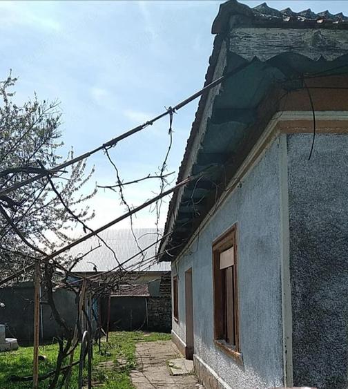 Vand casa situata in Negru Voda - 1