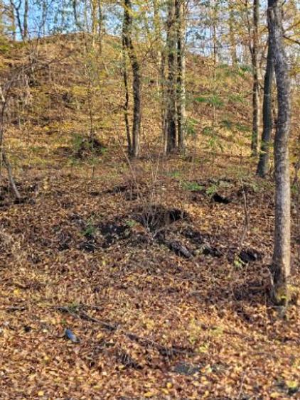 Vand teren cu padure la 5 km de Curtea de Arges,zona deal-munte,zona superba  - 6