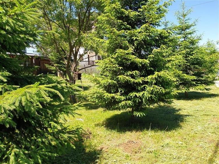 Pensiune incadrata de 2.350 teren, Bran - Fundata, Brasov - 11