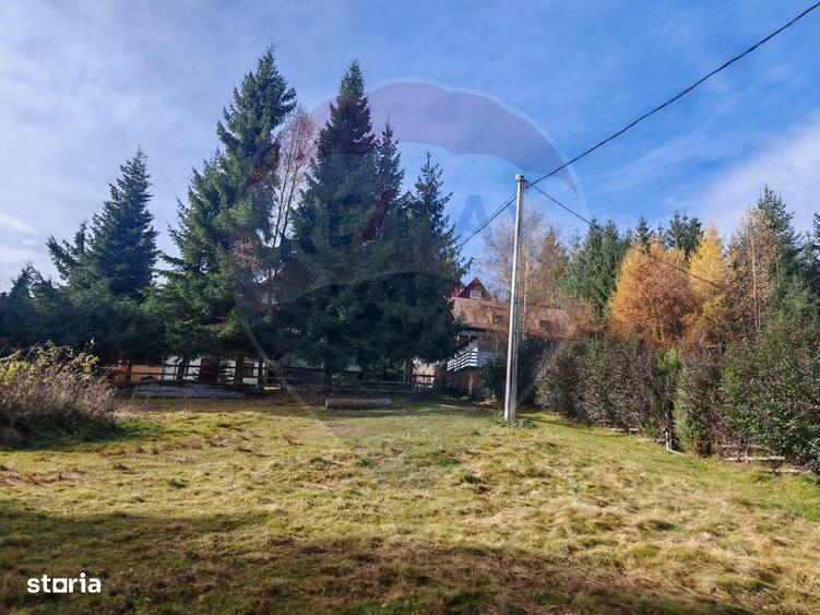 Cabana de vanzare in Muntele Bai?orii Zona Jera - 16