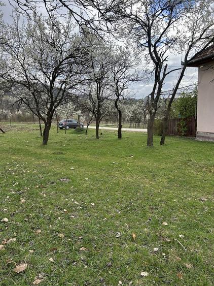 Teren extravilan 50 arii(5022 mp) bobaia - 1