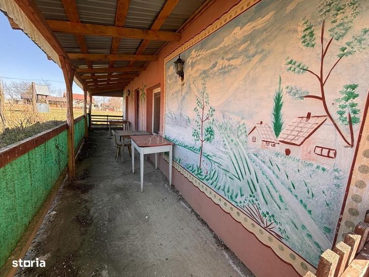 Domeniu cu lacuri de pescuit - cabane si livada - Oportunitate rara l - 10