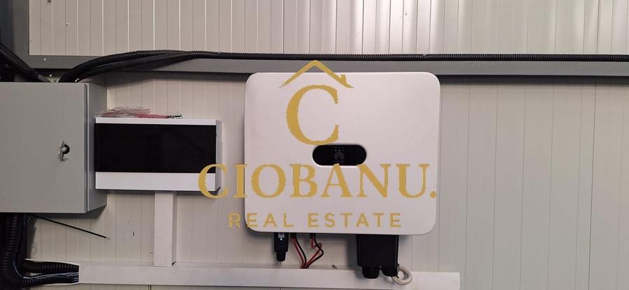 Hala de vanzare in Racarii de Jos - 6