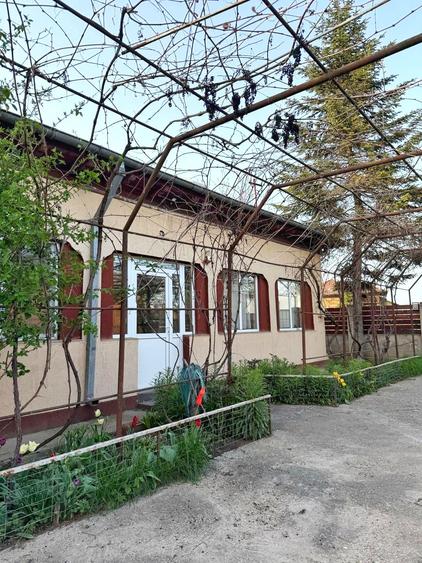 Casa pe parter | 4 camere | Teren 926mp | Asfalt - 2