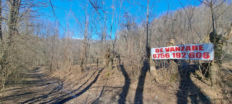 Teren agricol intravilan de 2142 mp, în Podul Lung