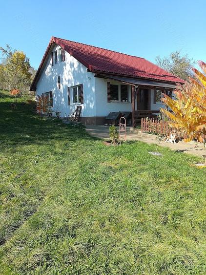Casa din 2019 cu 4300 mp intravilan, livada bio ?i vie la 45 min de Cluj - 2