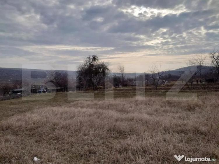 Teren intravilan 3712 mp + 2600 mp extravilan in Dobrovat - 1