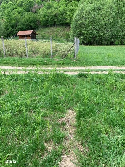 Teren rural de vanzare - electricitate ?i apa - 5