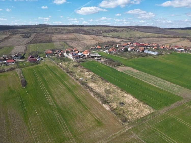 Vand teren santelec - 7