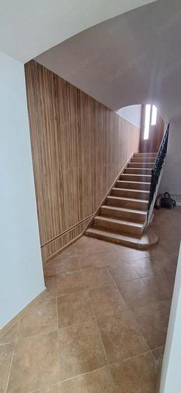 Inchiriez demisol zona Elisabetin - 4