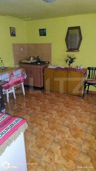 Oportunitate investitionala Casa cu teren extins in Comuna Geaca - 17