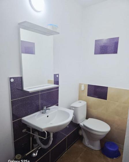 Ap 1 cam D, Gara, vis a vis Mc donalds - 3