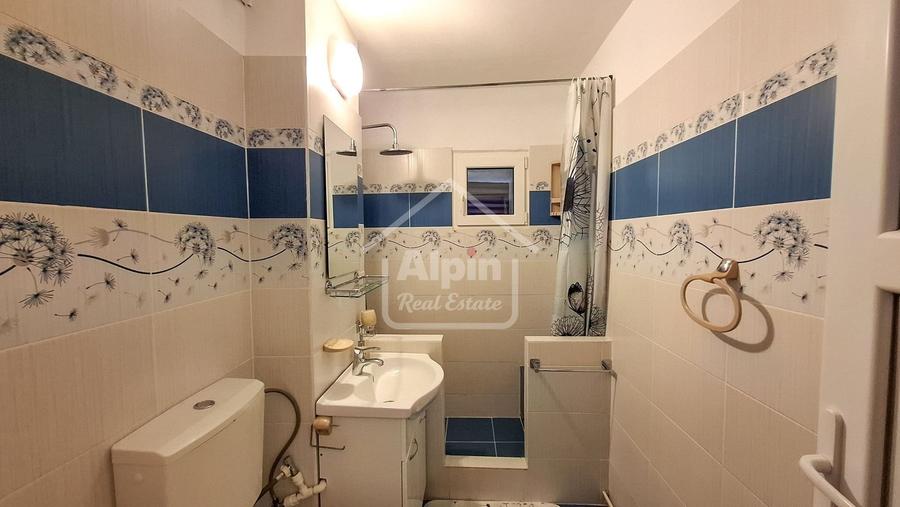 Suprafata Generoasa I Zona Gemenii - 4