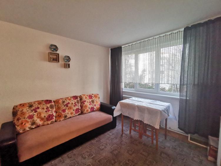 Garsoniera de inchiriat zona Parcului Eminescu - 5