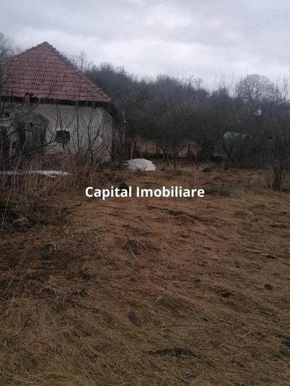 Casa cu utilita?i, teren 3040mp,Ceanu Mic, fara comision !! - 11