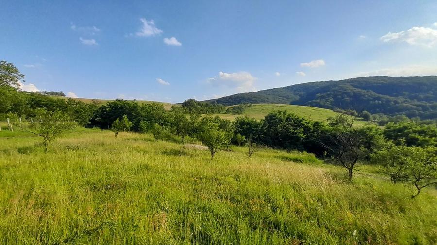 Teren intravilan frumos, Cozia - 5