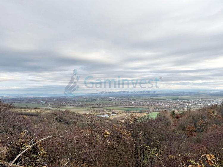 Parcela de teren extravilan, langa padure, zona Gheorghe Doja, Oradea - 1