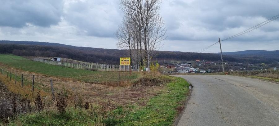 Loc de casa la Stancesti - 1