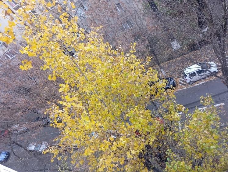 13 Septembrie Panduri-bloc mixt 1992-metrou Academia Militara - 10