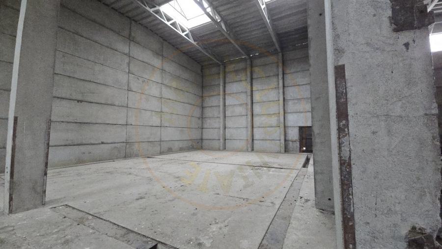 De Vanzare Hala/Depozit - 4