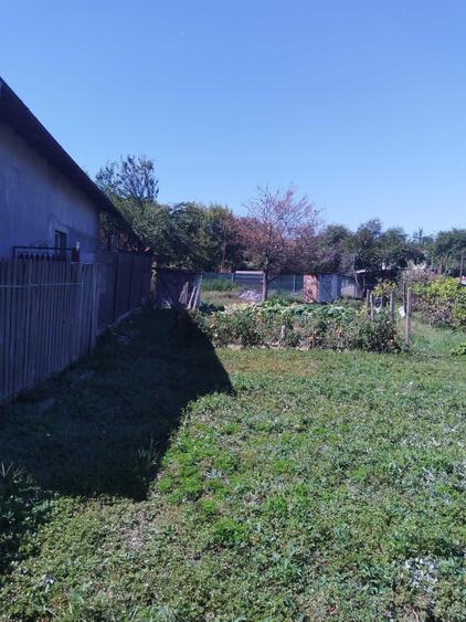 Casă cu 3 camere în Central