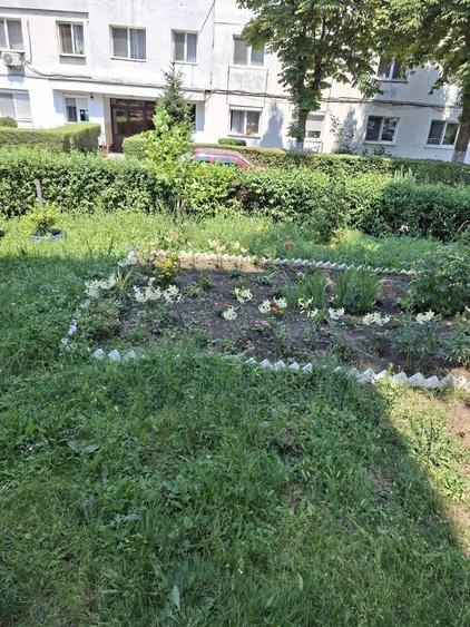 39.500 euro negociabil - Garsoniera Manastur Persoana fizica vand garsoniera confort 3 in Manastur - 1