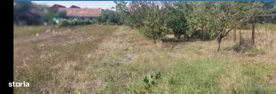 Teren de 934 mp, în Central