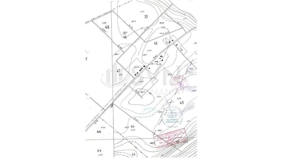 Teren Construcții intravilan de 10000 mp, în Dascălu