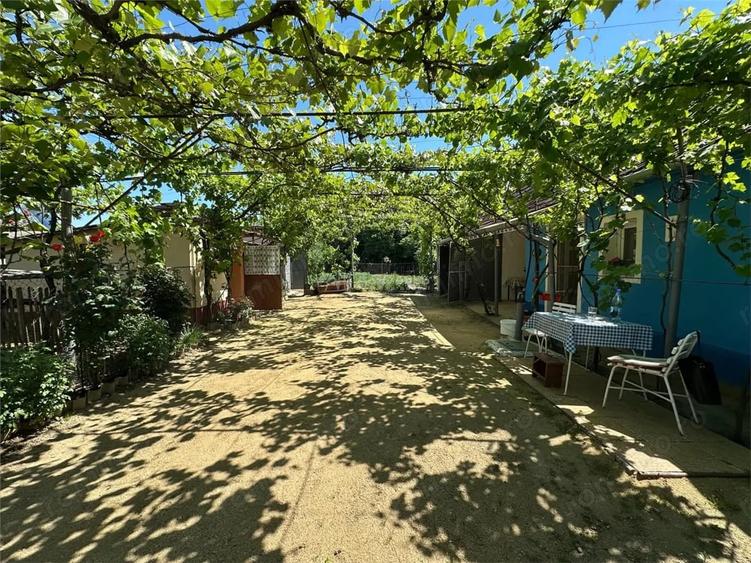 Casă cu Teren 1501 Mp în Birda