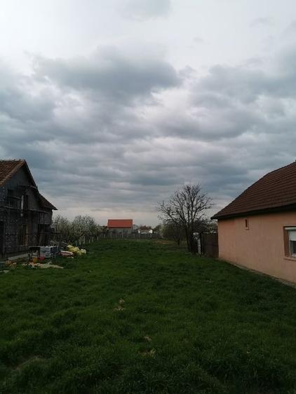 Teren Construcții intravilan de 1350 mp, în Săcălaz