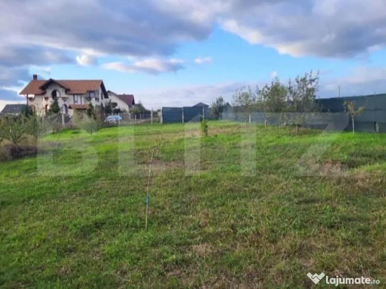 Oportunitate teren intravilan, 9 ari, zona Moara - 2